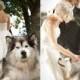 Pets In Wedding