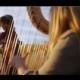 Wedding Videos