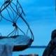 Honeymoon2