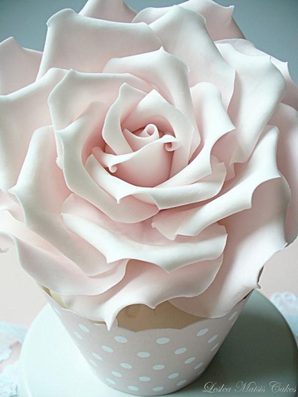 wedding photo - Розовые розы