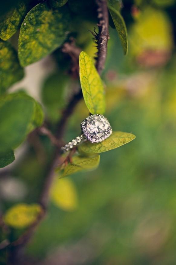 wedding photo - Wedding & Engagement Rings