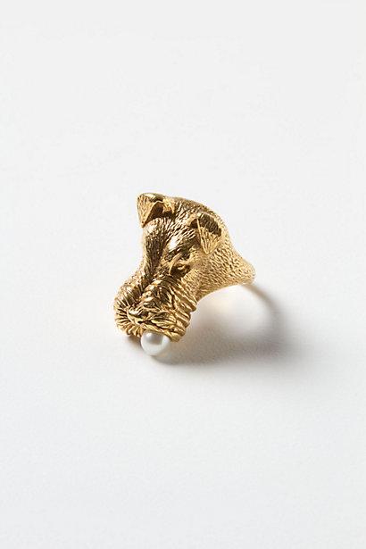 Wedding - Airedale Ring - B
