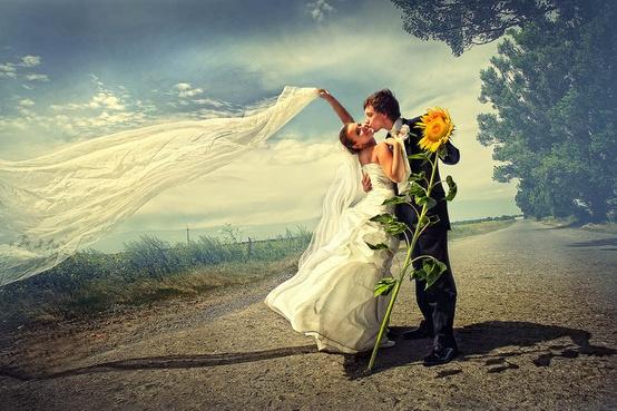 Свадьба - Свадебная фотография