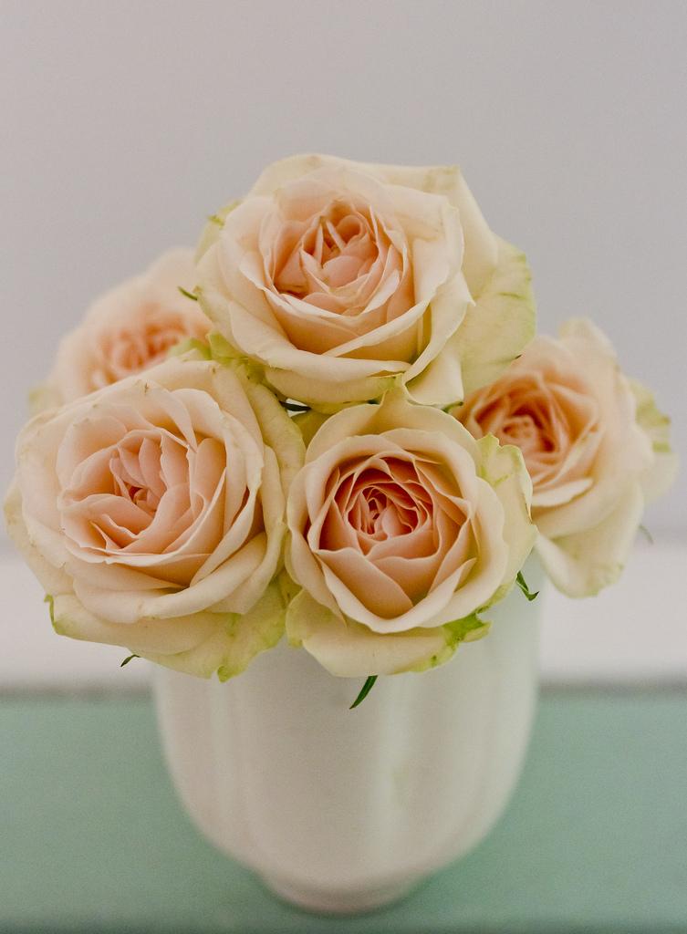 Hochzeit - Roses ...
