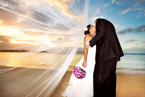 زفاف - قبلة واحدة بعيدا الحياة في جامايكا