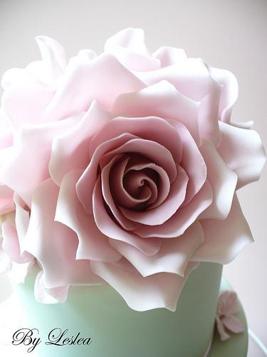 Свадьба - Розовые розы