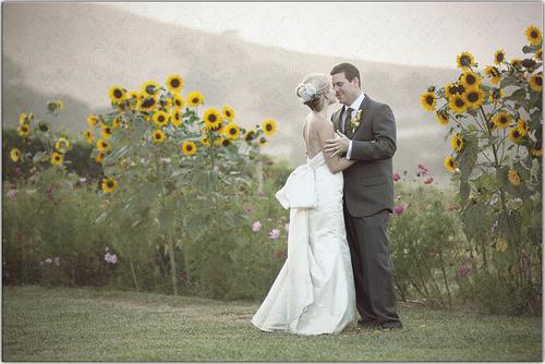 Wedding - Sunflowers Are Easy To Love
