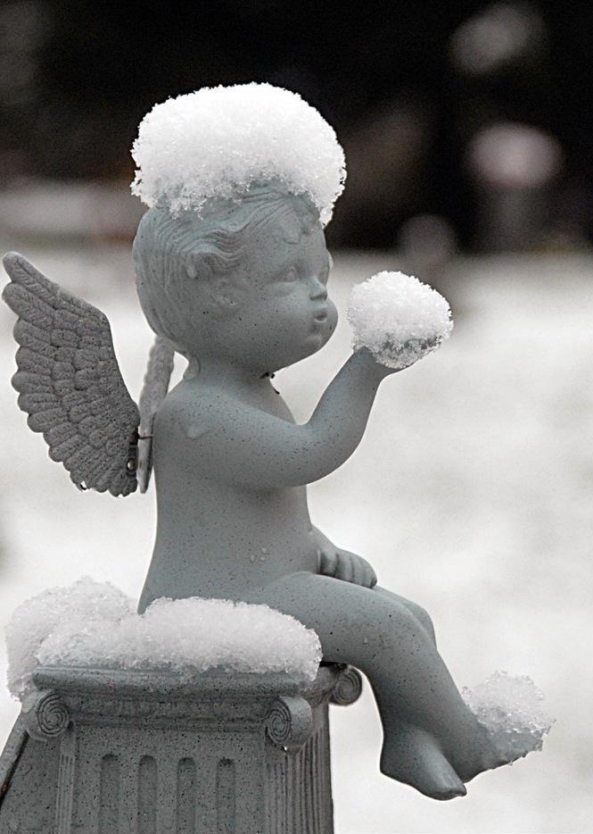 Wedding - Snow Angel 