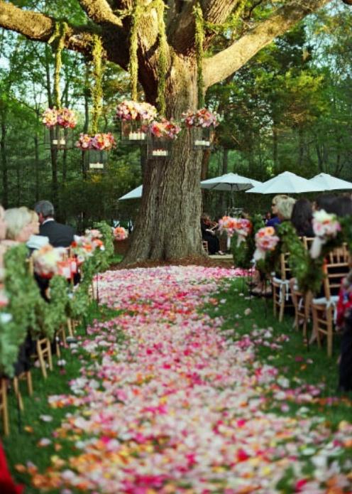 Wedding - Pink wedding aisle in the garden