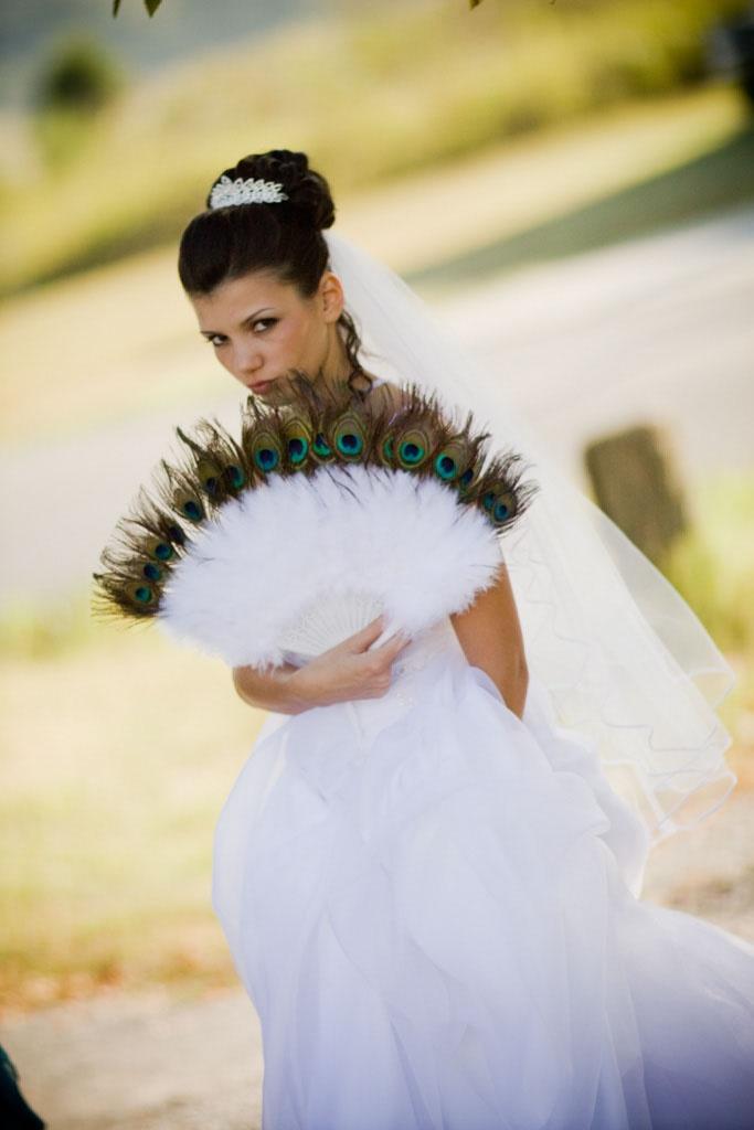 Wedding - Peacock Feather Wedding Idea