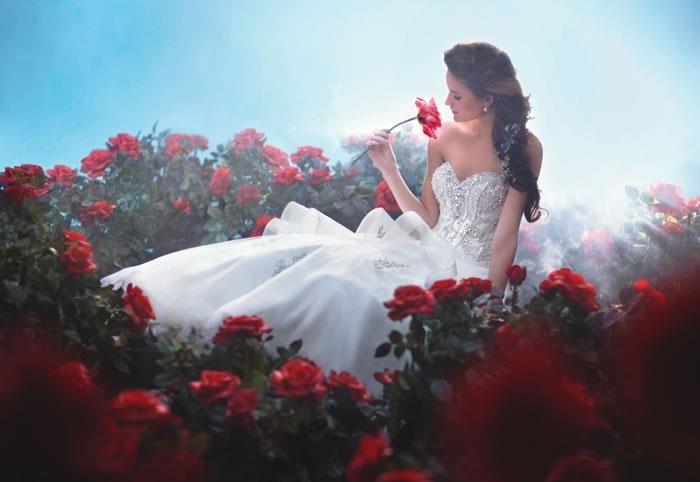 Wedding - Wedding Photography in the middle of red roses.