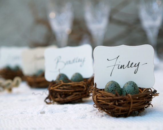 Mariage - Wedding Place Cards, 3, Nest Woodland Rustic Robin Egg Blue Rustic Fairytale Classic Shabby Chic Country Theme Baby Shower, Bird Theme - New
