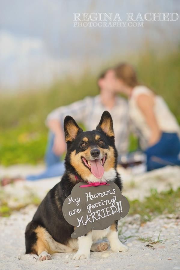 Wedding - Now This Is How You Do A Wedding Announcement