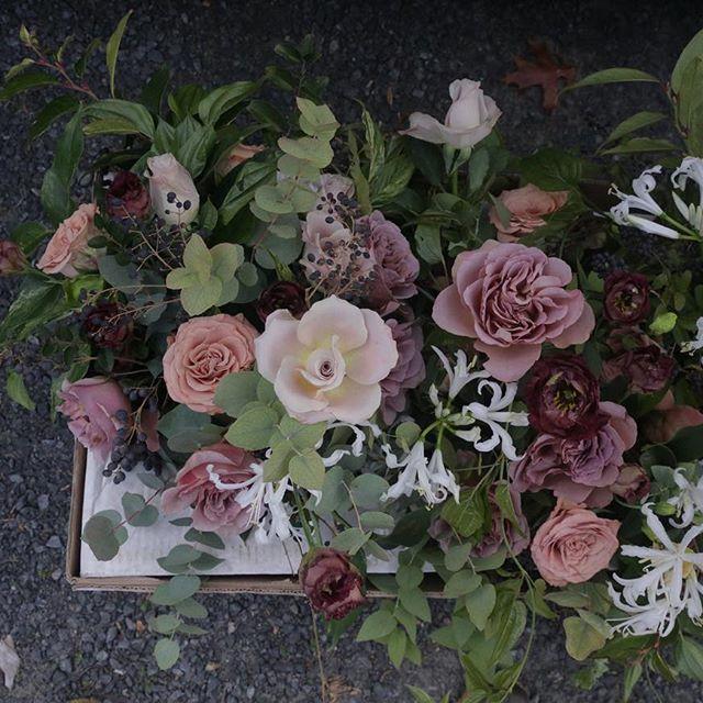 Mariage - Ariel Dearie Flowers