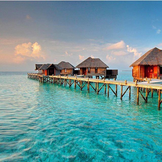 زفاف - Honeymoon In Maldives
