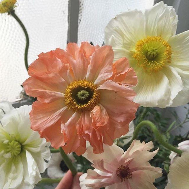 زفاف - Beautiful Flowers