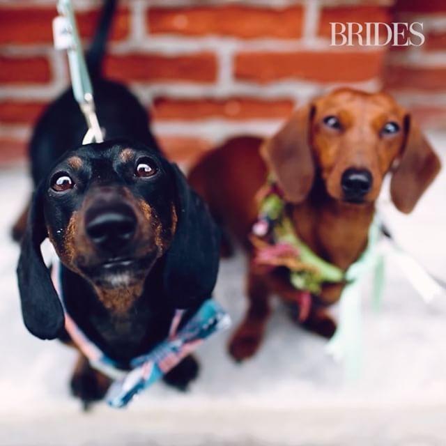Wedding - BRIDES Magazine