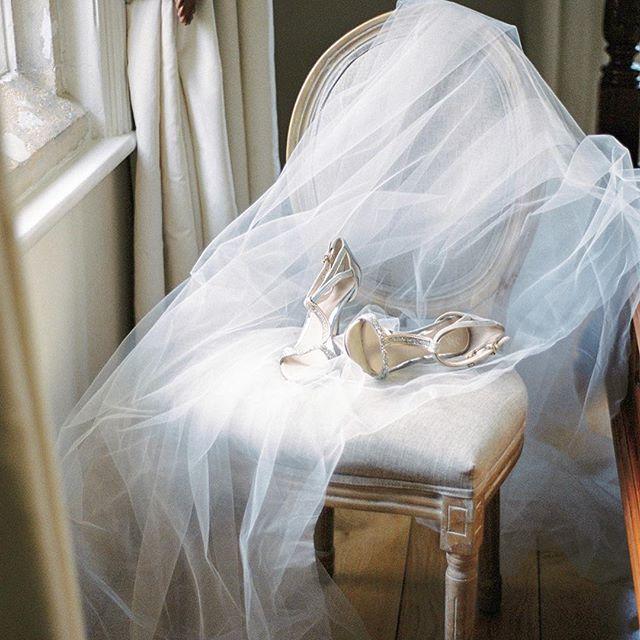 Hochzeit - Wedding Sparrow
