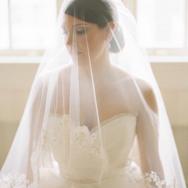 Wedding - Abby Jiu