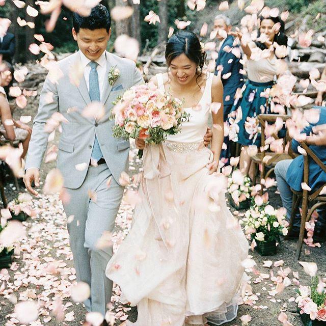 زفاف - Wedding Blog 
