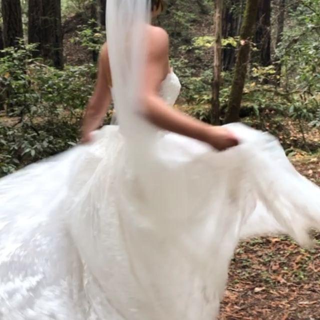 Wedding - David's Bridal