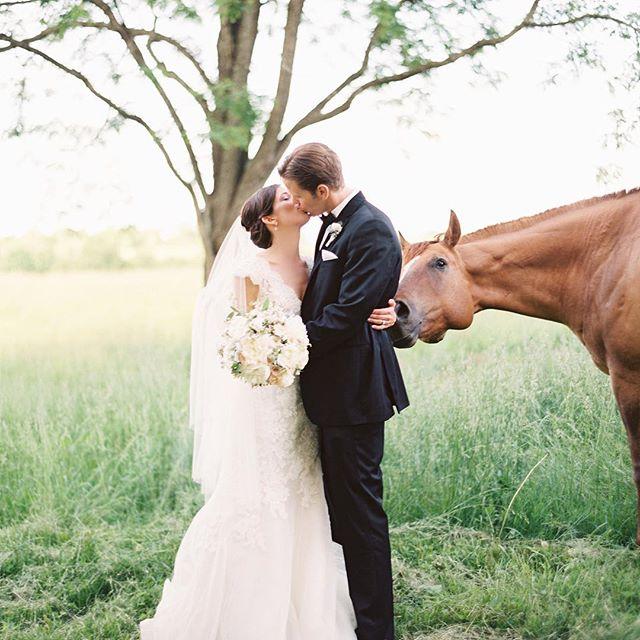 Свадьба - Katie Stoops Photography