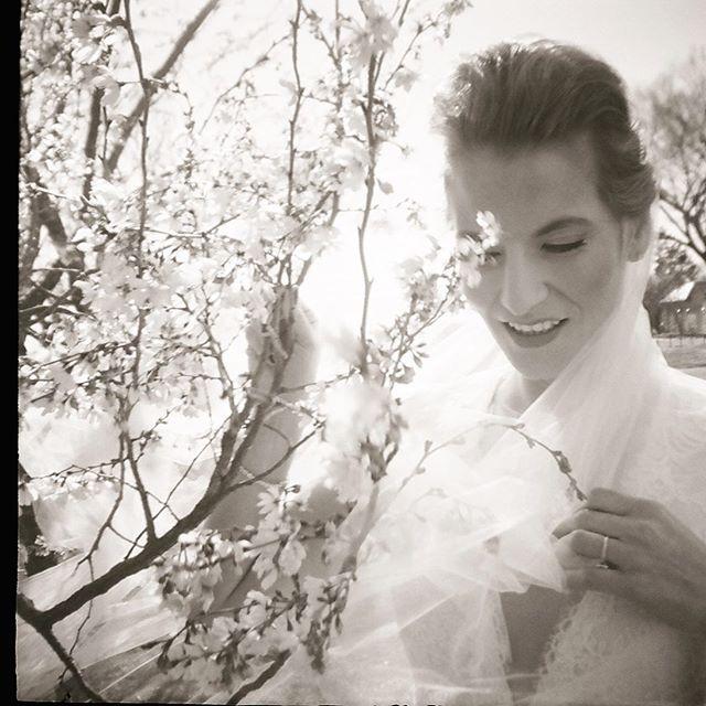 Wedding - Kate Headley