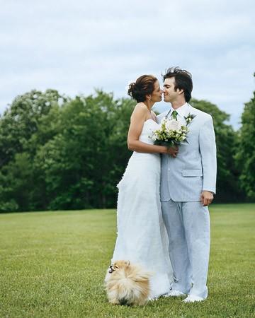 زفاف - مع الحيوانات الأليفة