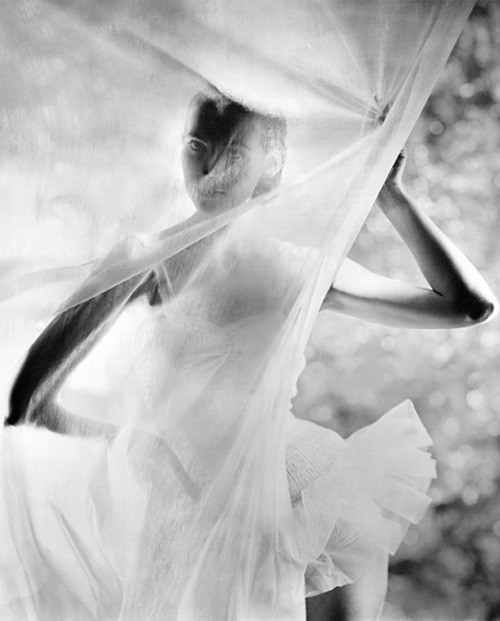 Wedding - Bride Behind Veil Photo ♥ Professional Wedding Photo ♥ Photography by Erwin Blumenfeld 