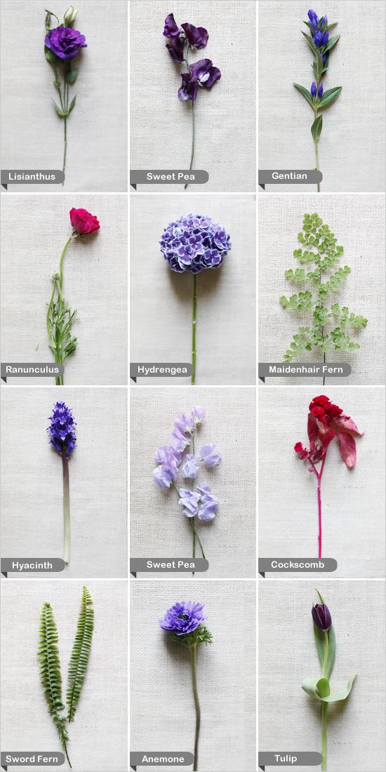 Camilla Clem: Types Of Purple Flowers For Bouquets / Flower names by