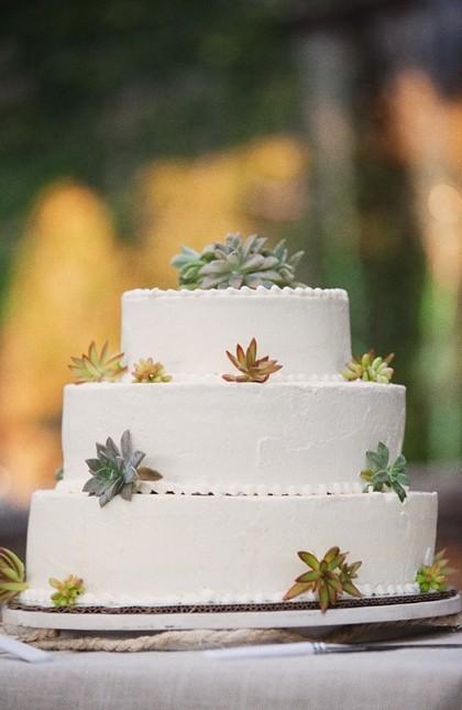Свадьба - Сельский Свадебные торты