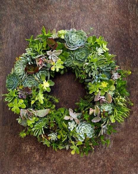 Wedding Decor Succulents 797016 Weddbook