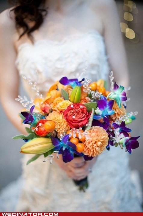 زفاف - قوس قزح الزفاف