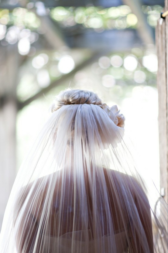 Wedding - The Veil