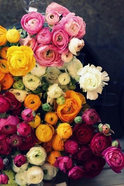Mariage - Pretty Flowers