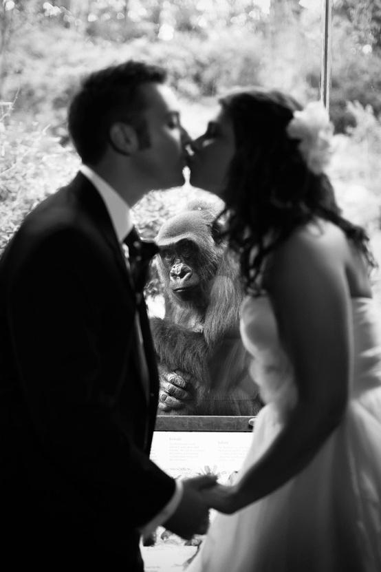 Mariage - Photographie de mariage ~ Loves Smp