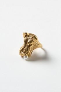 wedding photo - Airedale Ring - B