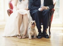 wedding photo - Pets!