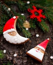 wedding photo -  Christmas