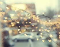 wedding photo -  Decor