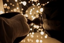 wedding photo -  Wedding Photography
