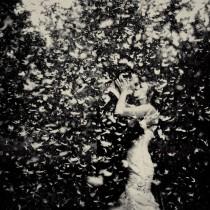 wedding photo -  Wedding Photography