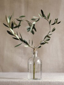 wedding photo - Olive Tree Branch HG 