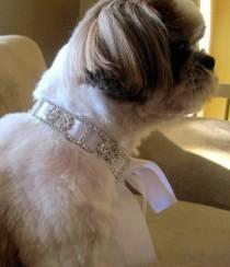 wedding photo - PET RHINESTONE NECKLACE JEWELRY PUPPY Dog Collar