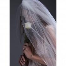wedding photo - Beautiful Veil Dress