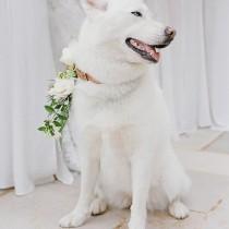 wedding photo - Fine Art Wedding Photographer
