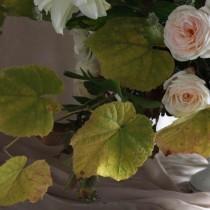 Nancy Teasley wedding photo - Nancy Teasley