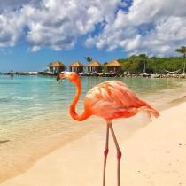 Beaches N Resorts wedding photo - Beaches N Resorts