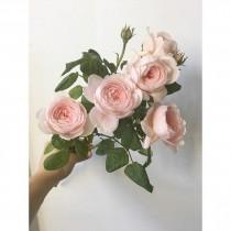 Poppies & Posies wedding photo - Poppies & Posies