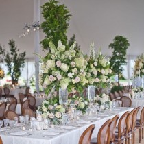 Amaryllis Inc. wedding photo - Amaryllis Inc.